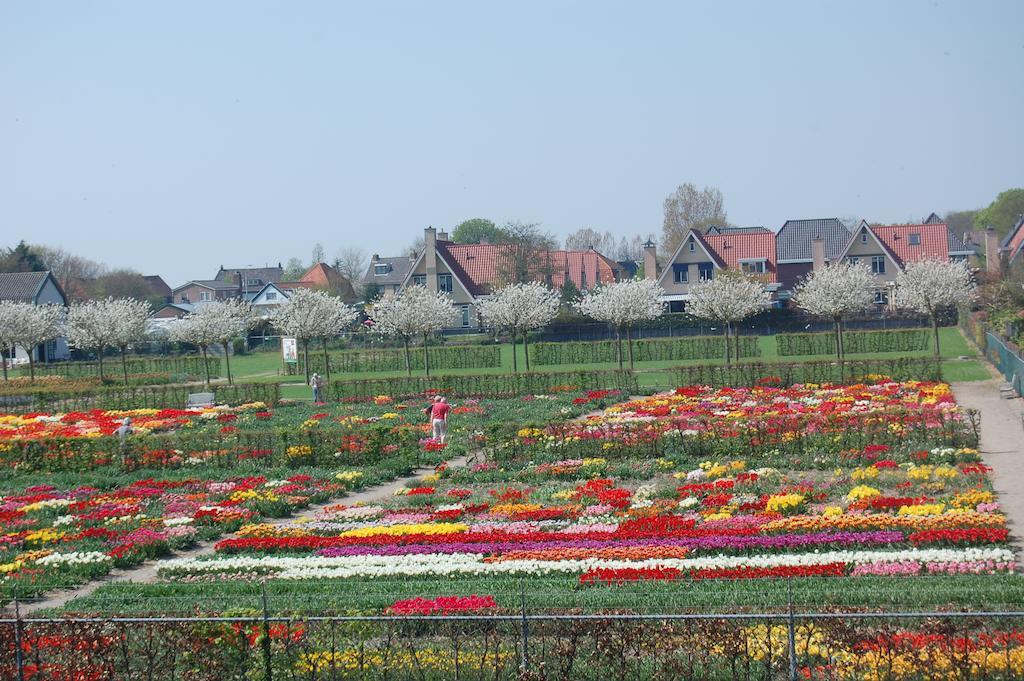 B&B LimmerzandLimmen エクステリア 写真